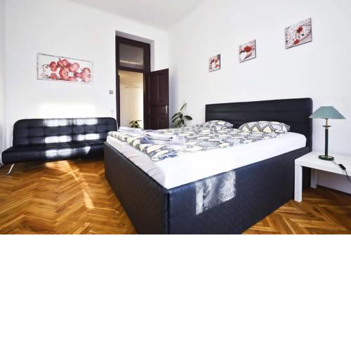 Spacious cozy apartments in centre