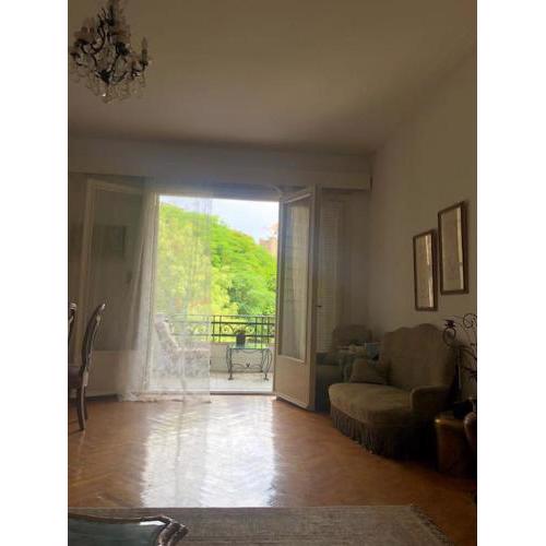 Spacious downtown Nile apartment