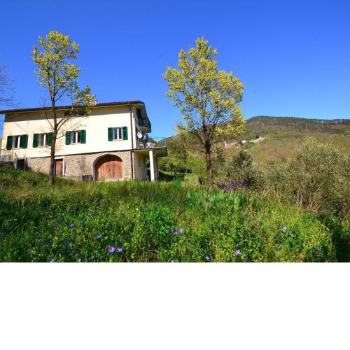 Spacious home surrounded by nature