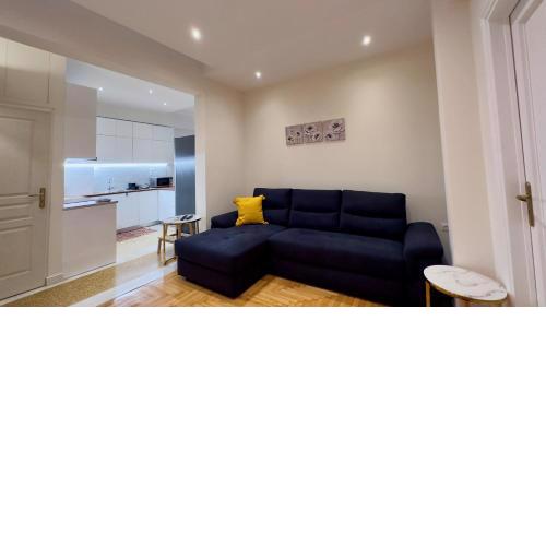Spacious Luxury Apartment in Athens, TAN Efroniou