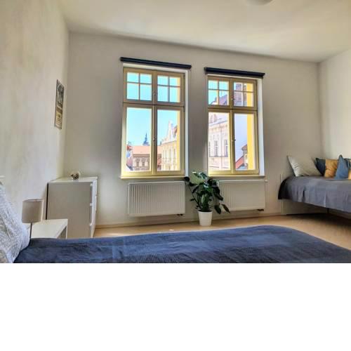 SPACIOUS LUXURY APARTMENT IN THE CITY CENTER