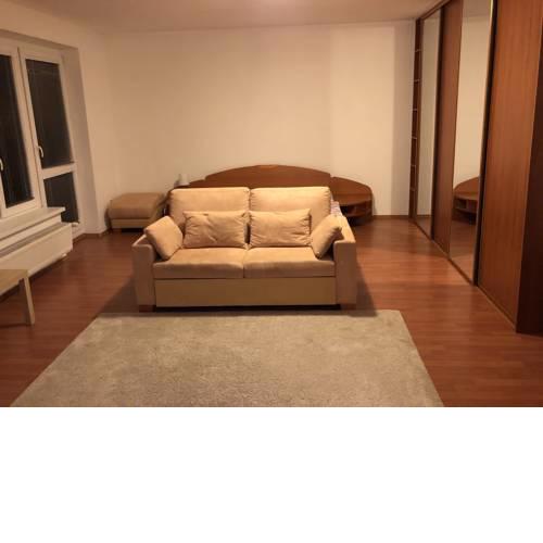Spacious one-room apartment in a quiet environment