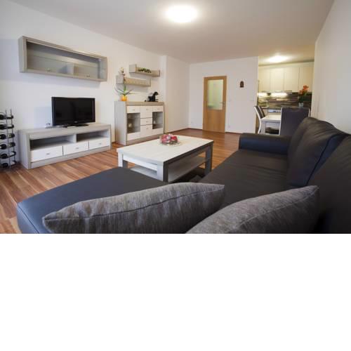 Spacious Prague Flat
