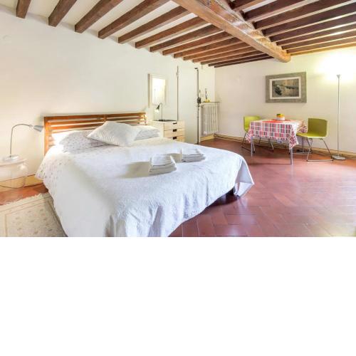 Spacious studio apt (n.2) Ancient Palazzo