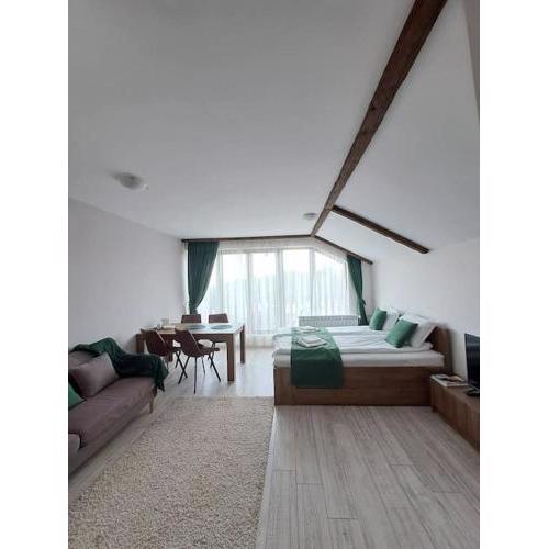 Spacious studio for 4, Borovets