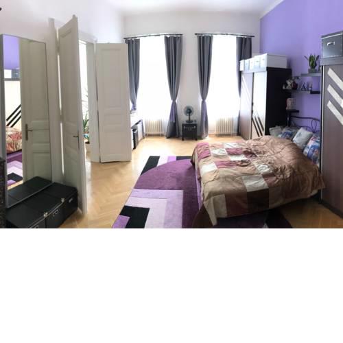 Spacious Stylish 3BDR Apartment