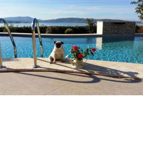 Spacious Villa With a Pool