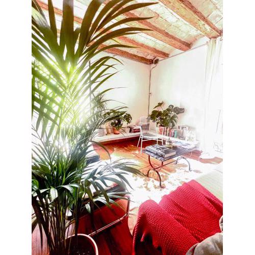 Spectacular apartment in Raval