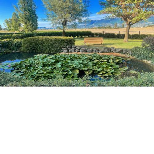 Spello By The Pool - Sleeps 11 with large private pool, meditation park - exc