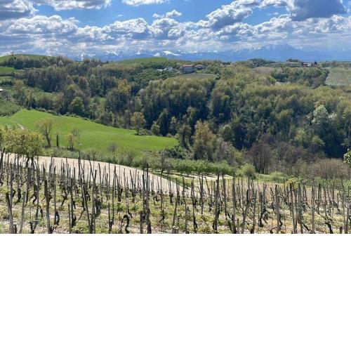 Spicchio di Langa - casa indipendente tra le vigne e le Alpi