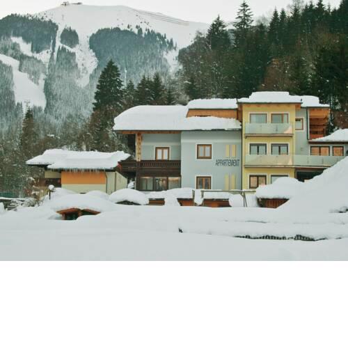 Splendid Apartment in Schmitten with Balcony