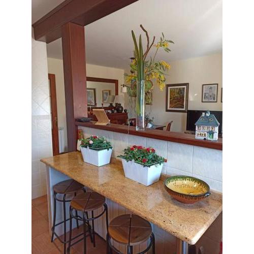 Splendid mountain apartment near Port del Comte