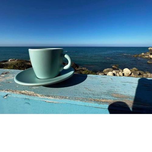 Splendida villa sul mare