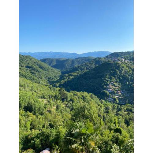 Splendida vista
