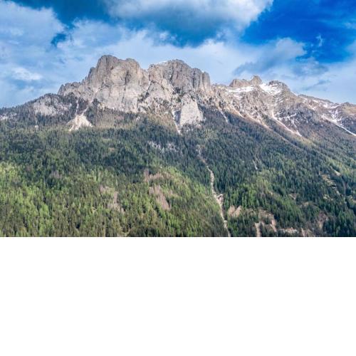 Sport & natura in Trentino!