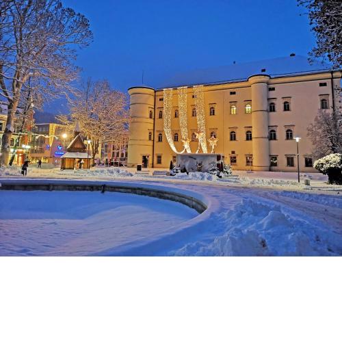 Stadtappartment Gartenliebe mit privatem Seezugang am Millstätter See