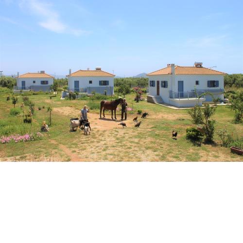 Stamna Farm