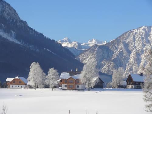 Stangl - Hof