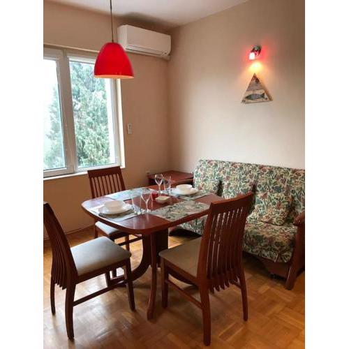 Star Ray Apartment