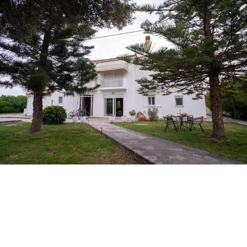Stefano's Home