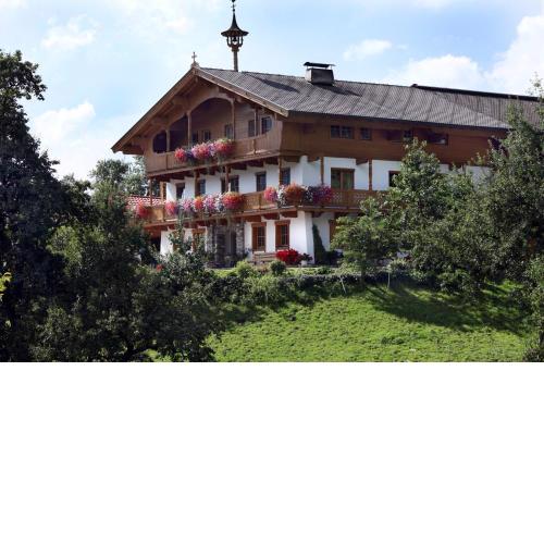 Stegerbauer