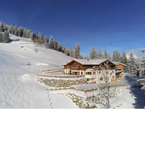 Stegerhof App. Dachstein