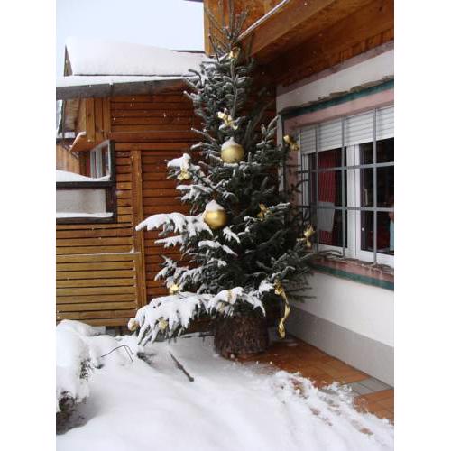 STEIGER - HÜTTE