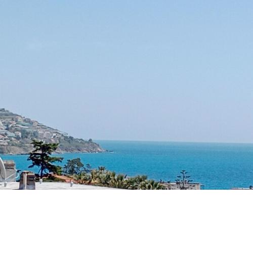 Stella di mare Sea View