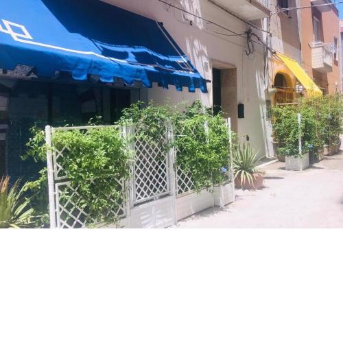 Stella Marina apartment