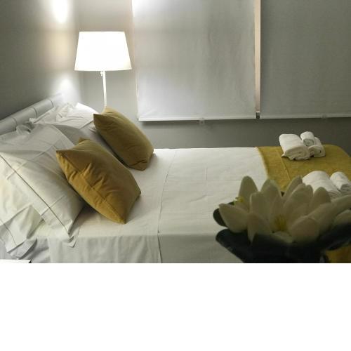 Stesicor home