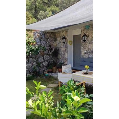 Stone Cottage garden, terrace sea and forest view