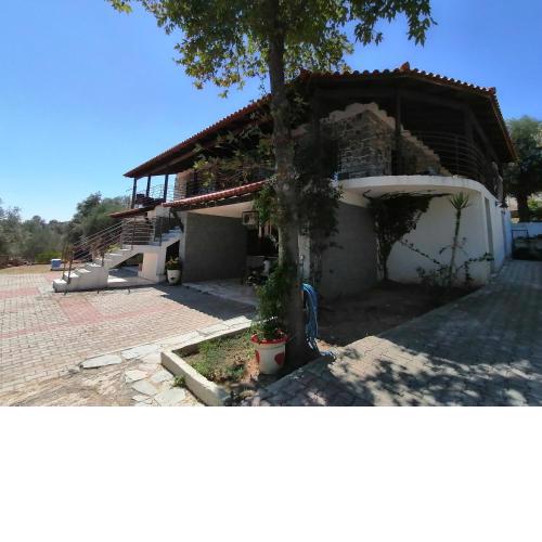 STONE HOUSE POLITIKA
