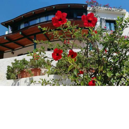 Strofi House