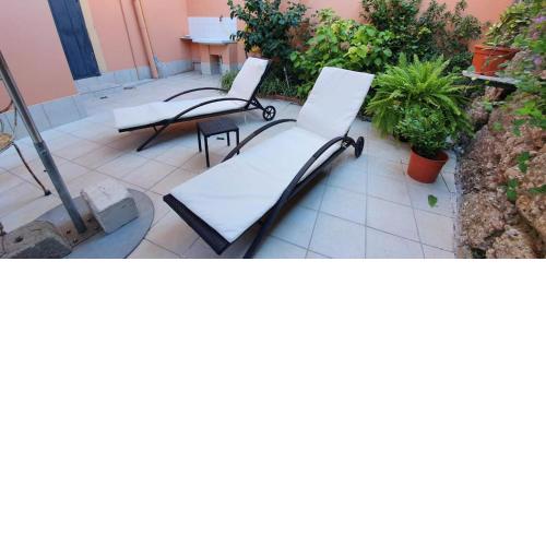 Studio - Garden in the city