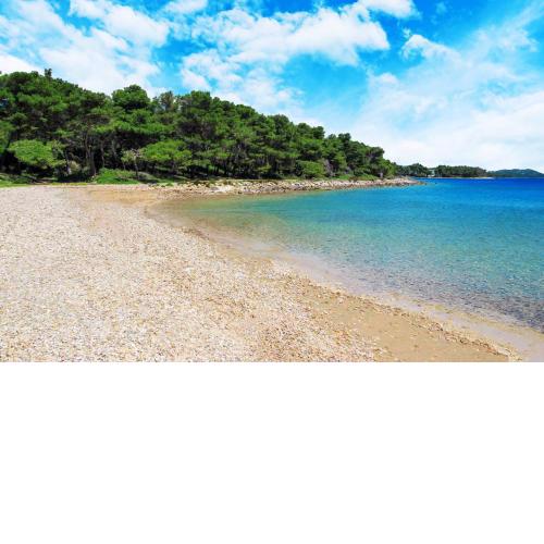 Studio & Apartment Biograd Paszman