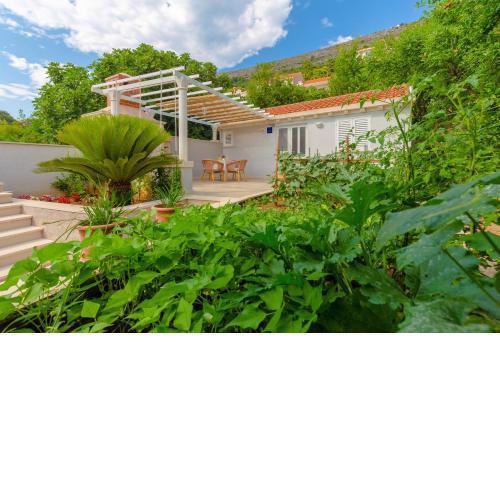 Studio apartment Casita