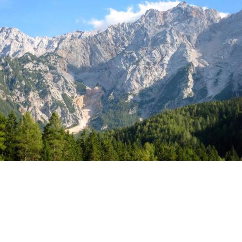 Studio Apartment in Jezersko