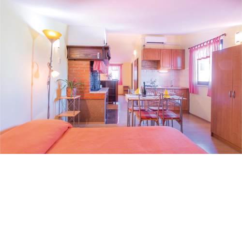 Studio Apartment in Valbandon