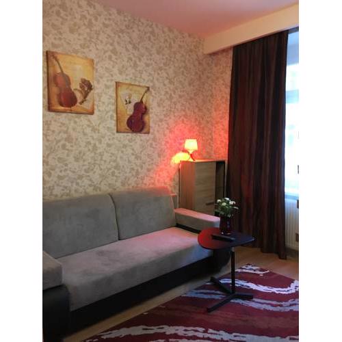 Studio Apartment Medena