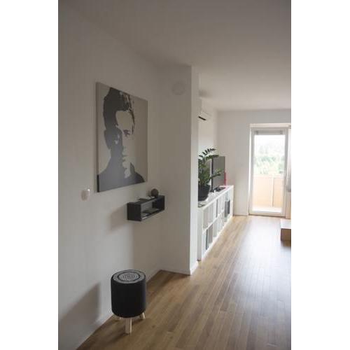 Studio Apartment No.37