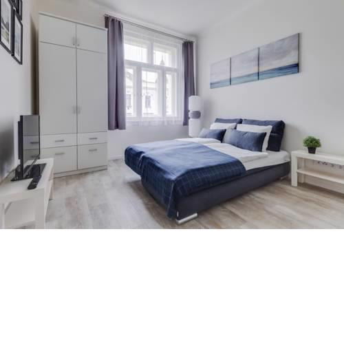 Studio apartment Slavikova