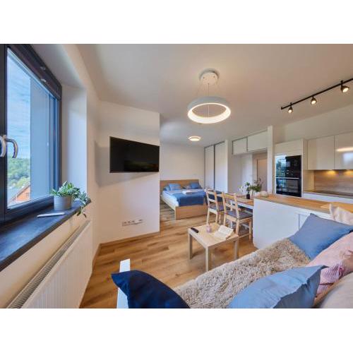 Studio Černý Důl-1 by Interhome