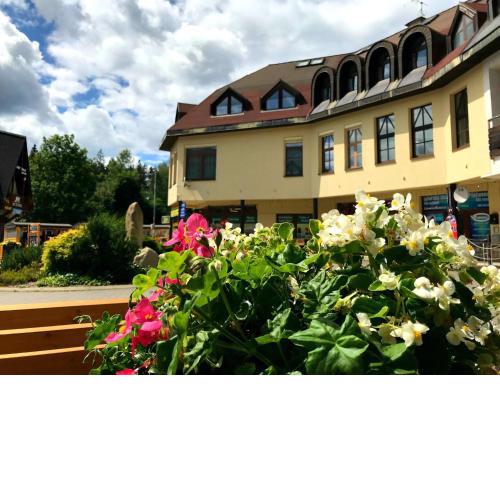 Studio Harrachov 611-2