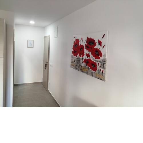 Studio Istra