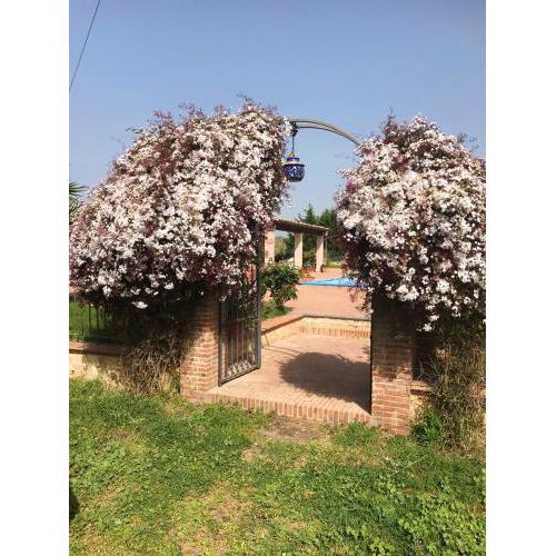 Studio with shared pool and wifi at Grammichele