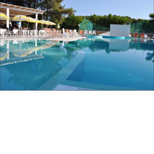 Studio with shared pool and wifi at Vieste 2 km away from the beach