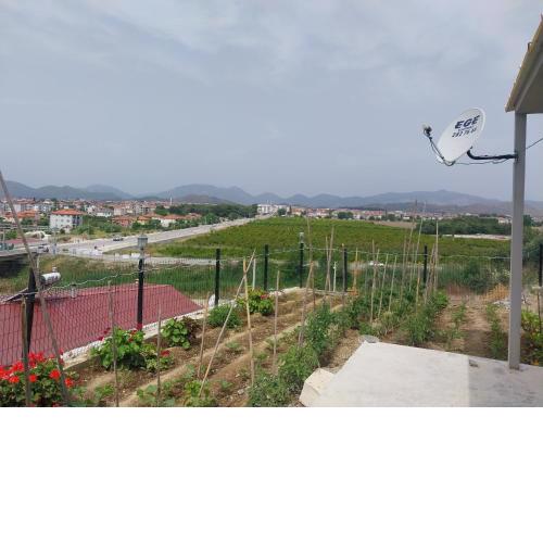 Stüdyo narem