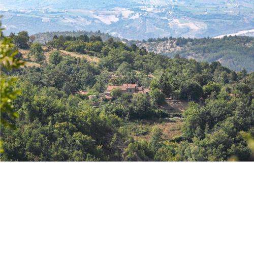 Stunning Home In Seggiano With 2 Bedrooms