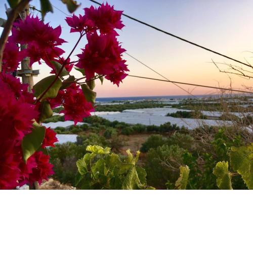 Stunning View Studio in Countryside in Crete
