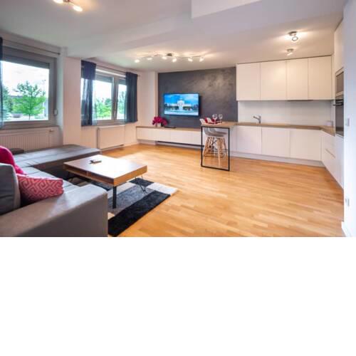 Stylish and comfortable new apartment near Arena